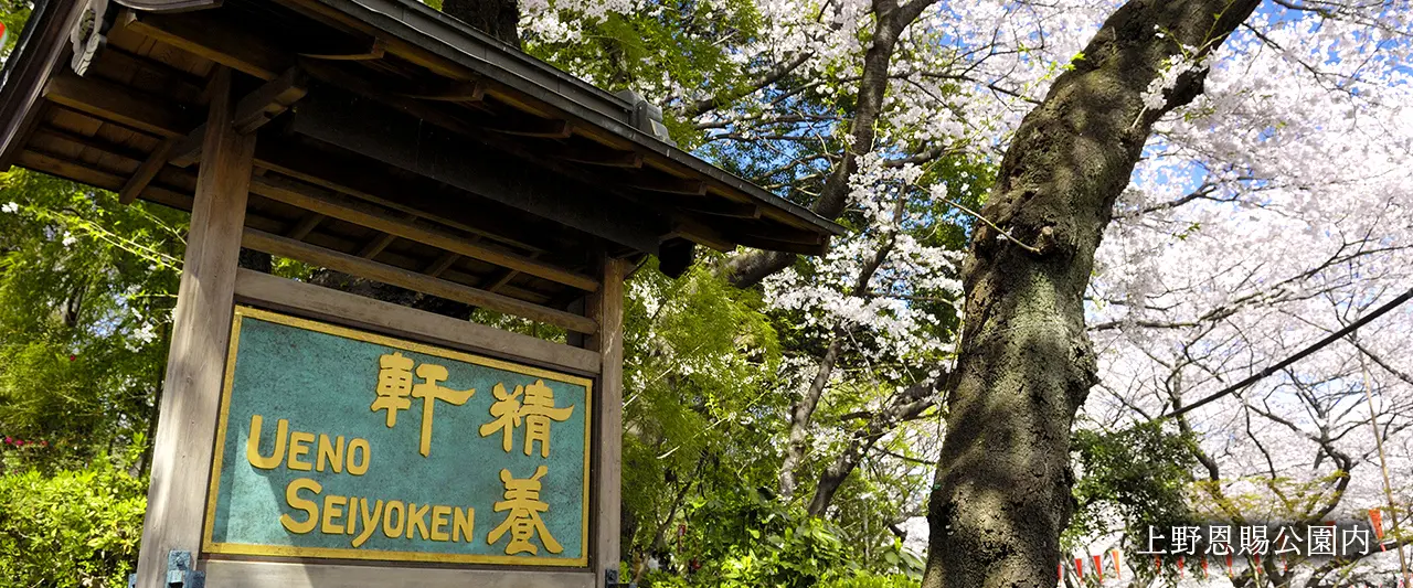 上野恩賜公園内