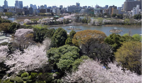 上野の杜で150余年 上野の杜ならではひととき