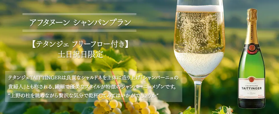 テタンジェリーフリーフロープラン