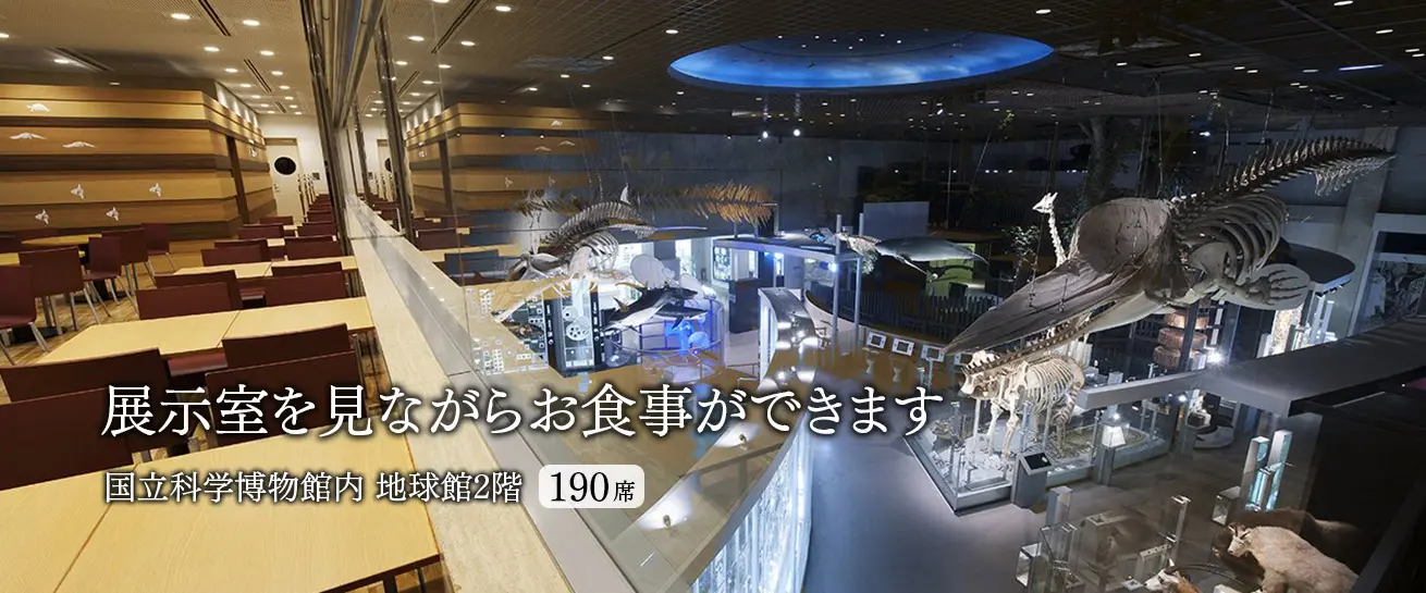 展示室を見ながらお食事ができます。感染防止のため席数を減らし運営致します。