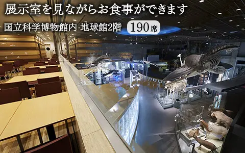展示室を見ながらお食事ができます。感染防止のため席数を減らし運営致します。