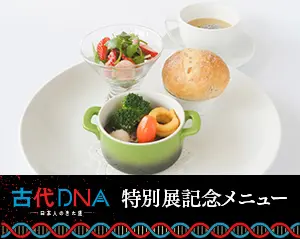 古代DNA特別展記念メニュー
