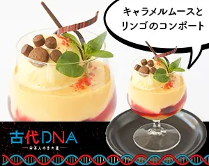 古代DNA特別展記念メニュー　キャラメルムースとリンゴのコンポート